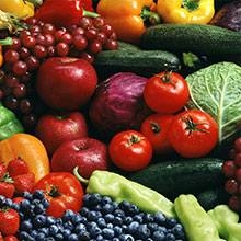 Nutrition and Food Sciences